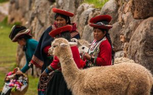 Alpaca-Peru