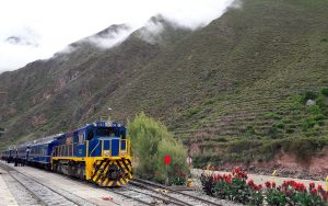 Diferencias-de-Trenes-a-Machu-Picchu