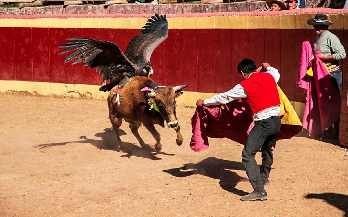 Blood-Festival-of-Perú